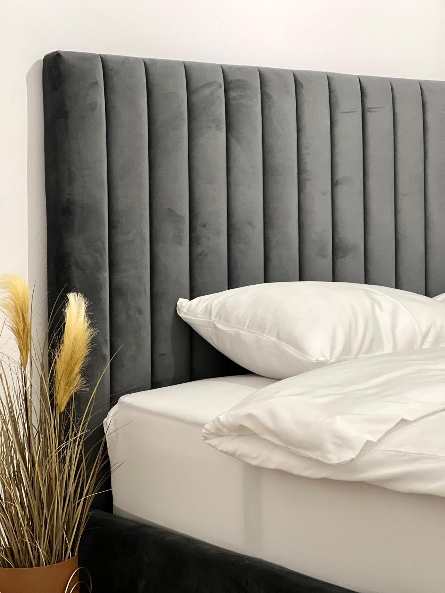 קלוז'-נאפוקה Transylvania Central Apartment מראה חיצוני תמונה